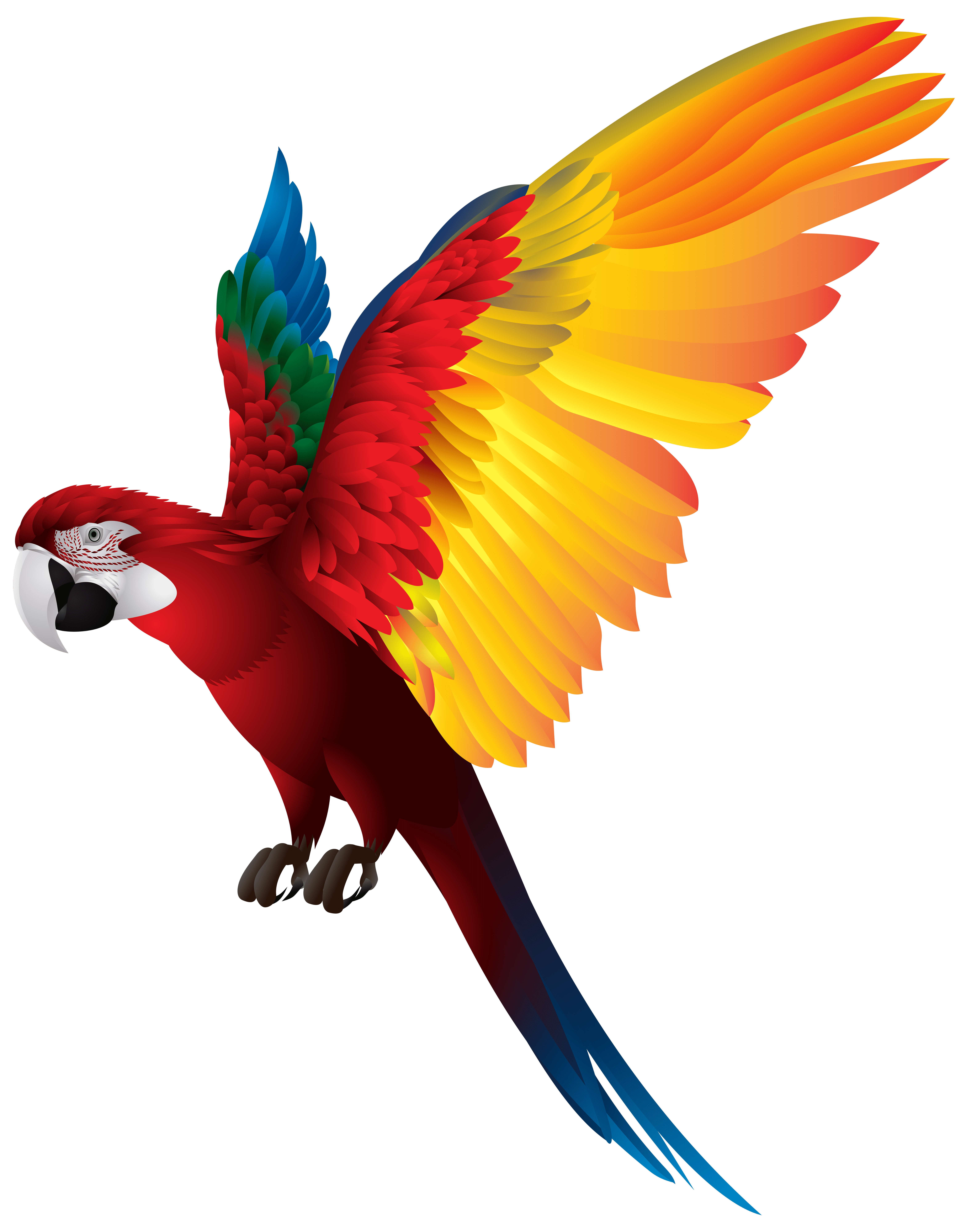 ARA parrot